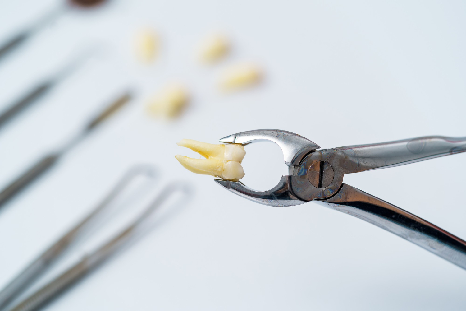 tooth